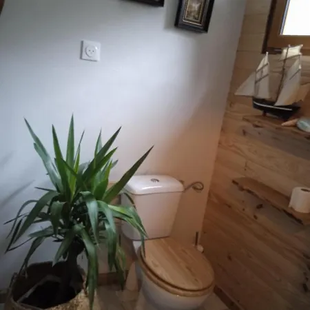 Libellule Domaine De La Mamounette 別荘