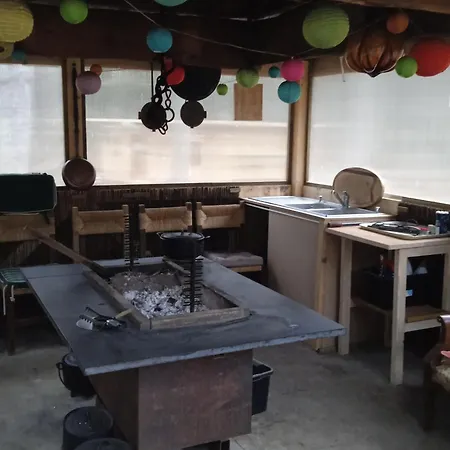 Libellule Domaine De La Mamounette