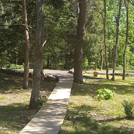 Libellule Domaine De La Mamounette * Champclause