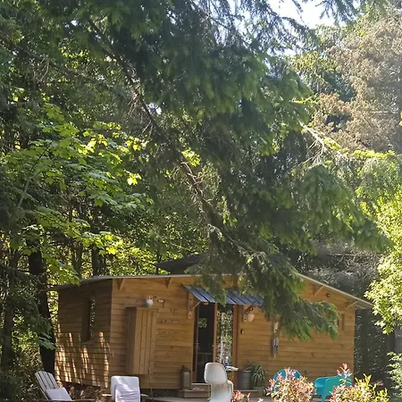 Libellule Domaine De La Mamounette