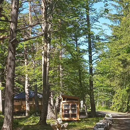 Libellule Domaine De La Mamounette *