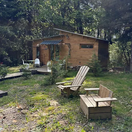 Libellule Domaine De La Mamounette *