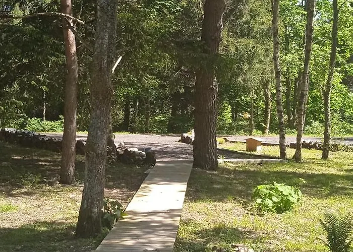 Libellule Domaine De La Mamounette * Champclause