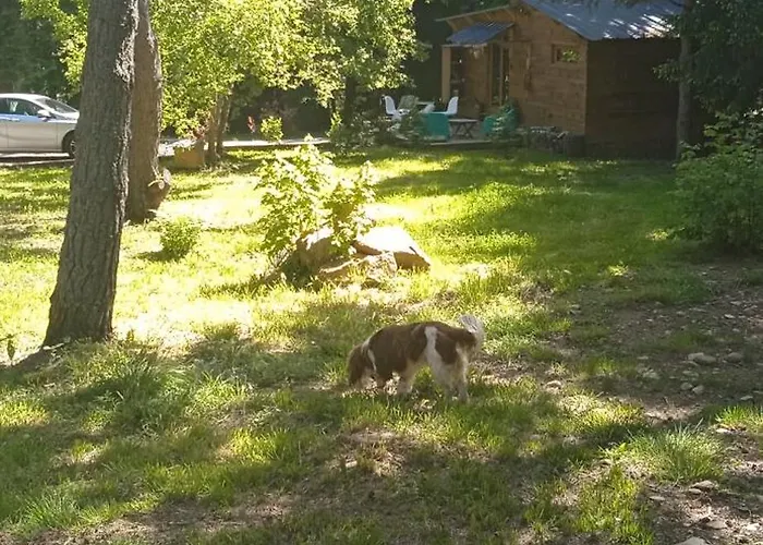 Дом отдыха Libellule Domaine De La Mamounette