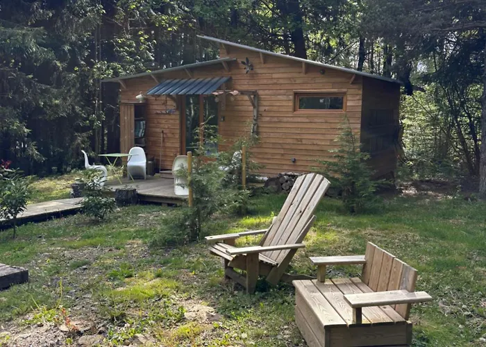 Libellule Domaine De La Mamounette *